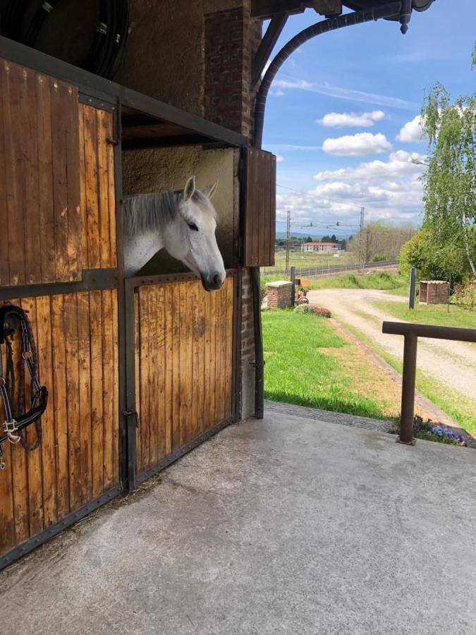 B&B Tenuta Legnate Sesto Calende Buitenkant foto